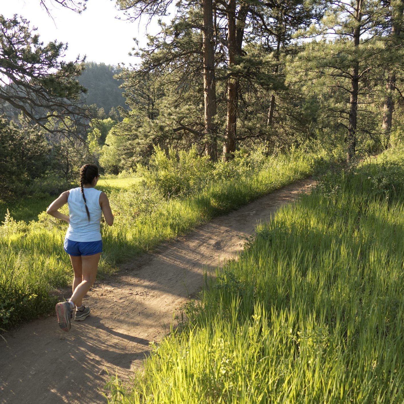 With the morning sun pouring through the pine forests of the Rocky Mountains, a young woman with a ponytail trail runs through the tall grass along the Bear Creek Trail just outside Kittredge, Colorado.