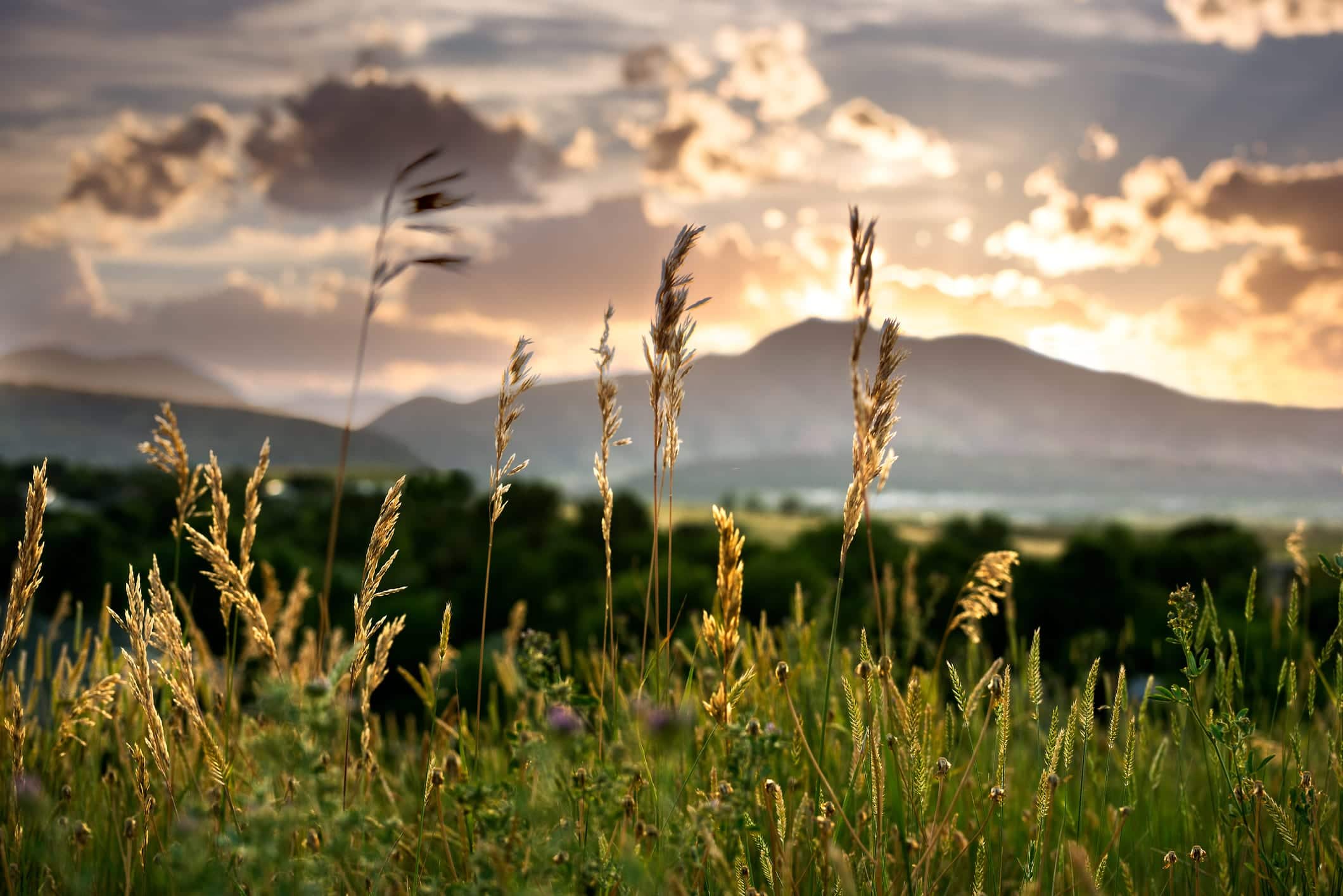 Shallow depth of field capture of a Colorado Sunset